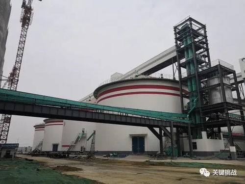 以南陽大宗農(nóng)產(chǎn)品加工業(yè)高質量發(fā)展助推鄉(xiāng)村振興